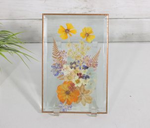 Vintage Pressed Flower Art In Glass Frame  Botanical Floral Display  9' X 6'