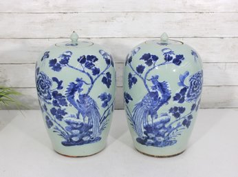 Pair Of Blue & White Porcelain Ginger Jars W/ Lids  Peacock & Floral Motif  13' H Decorative Asian Style