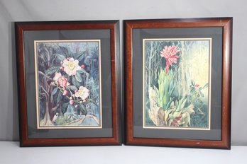 Pair Of Framed Botanical Art Prints  Floral Nature Illustrations