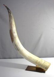 Single Natural Bull Horn Sculpture- 34'tall
