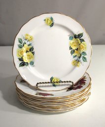 Royal Vale Ridgway Pottery Set/ Set Of 10 Plates