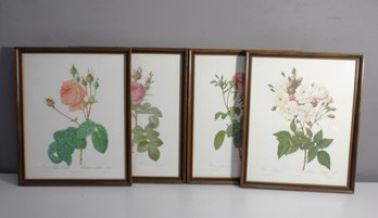 Set Of 4 Vintage Botanical Rose Prints In Wooden Frames