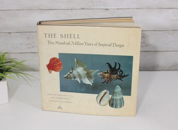 The Shell: Five Hundred Million Years Of Inspired Design  Hardcover Coffee Table Book