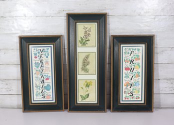 Framed Kitchen Wall Art Lot Vegetables Fruits Botanical Prints Set Of 3