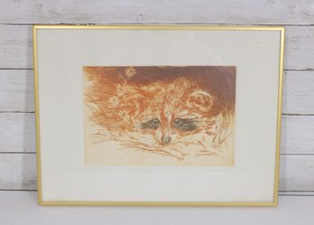 Joan Purcell Artist Proof Etching  Little Nickie Raccoon  Signed  Framed 13.5 X 18.5