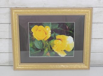 Framed Floral Photograph  Yellow Roses Close-Up  Gold Tone Frame  13.5' X 16.5'