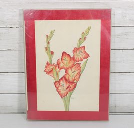 Framed Floral Print  Gladiolus Flowers  Signed  Red Mat  16' X 12'