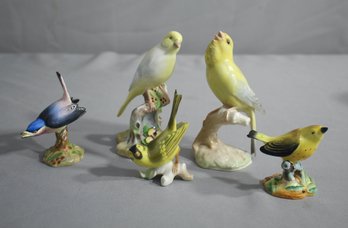 Group Lot Of 5 Small Porcelain Bird Figurines - Adderly, Hutschenreuther, Etc