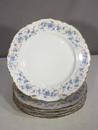 Set Of 6 Vintage 10' Pasco 'Forget-Me-Not' China Plates - Gold Rim & Floral Design