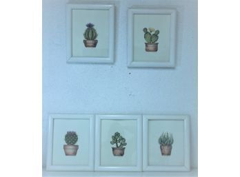 Instant Statement Wall With Succulents: Five Framed Pen & Ink Botanical Cacti Drawings, Signed Karyn Gray