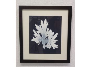 Abstract White & Black Snowflake Coral