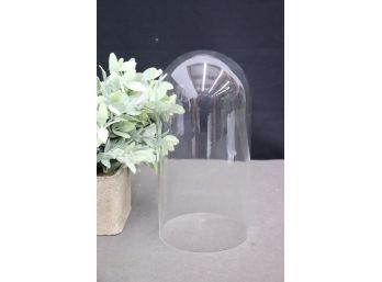 Clear Glass Silo Cloche