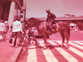 Faneuil Hall People Color Film Slides Lot Of 11