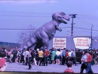 12 Sinclair Dinosaur Exhibit Worlds Fair Kodachrome Slides