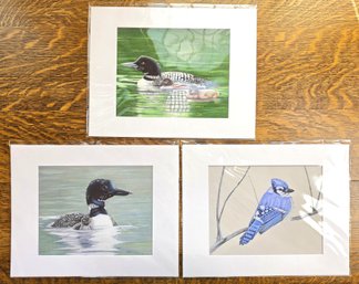 Matted Bird Art Prints - Loons And Blue Jay