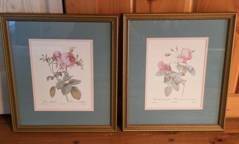 P.J. Redouté Botanical Rose Prints, C. 19th-20th Century