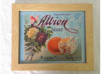 Albion Brand Valencias Orange Crate Label Print, Framed