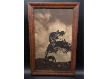 Western Horse & Tree Scene Etching Print, Framed By J. Assenheim & Son