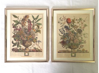 Vintage Robert Furber Framed Floral Prints