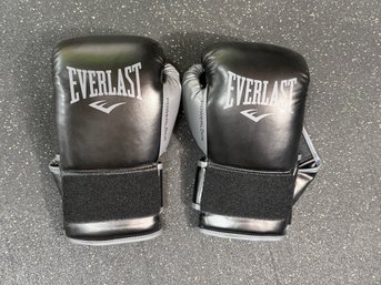 Everlast Boxing Gloves