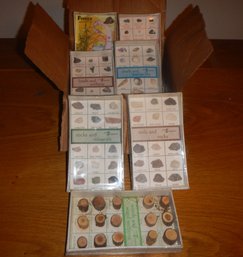 Box Of Rocks (Minerals, Shells, Soils, Fossils)