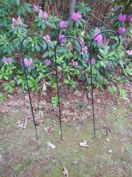 Three Plant Hangers - Black