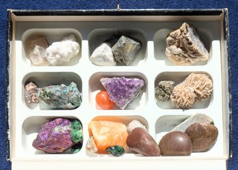 Crystals & Gems Collection - The Geo Center Collector's Box Fossils Rocks