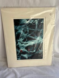 Sandra Lee 1982 Matted Tree Photograph