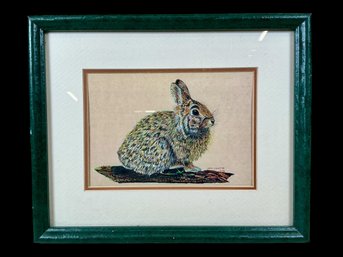 Framed Vintage Rabbit Print