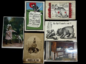 6 Antique Novelty Animal Postcards Barrels Of Fun