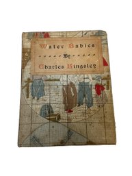 1899 Altemus Edition Of Water Babies By Charles Kingsley Illustrated Antique Childrens Book