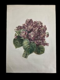 Twenty Five Antique 1911 Silk Lithograph Floral  Quilt Squares By The Gray Lith Co NY