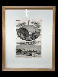 1870s Engravings From Picturesque America Of Gloucester And Rockport