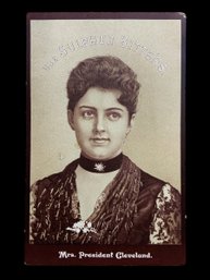 USE SULPHUR BITTERS! Antique Victorian Advertising Card