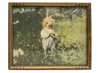 Antique Framed Colorized Photo Of Small Child In Field