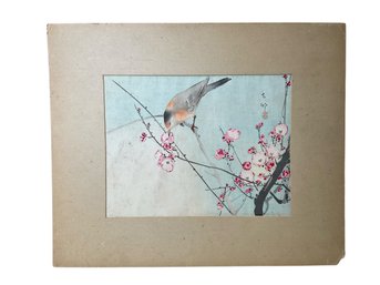 Ohara  Koson (1877-1945) Japanese Woodcut Songbird On Blossom Ukiyo-e