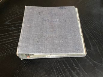 Baseball Stars And Rookies In Binder