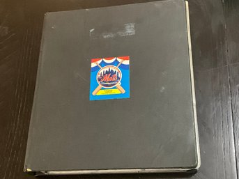 Mixed Baseball Stars In Binder