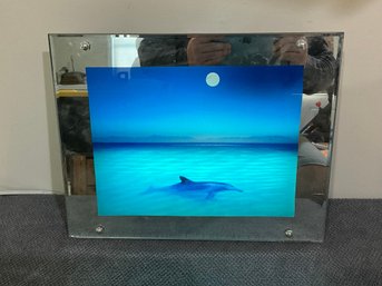 3D Aquatic, Move-able Light Box With Dolphin