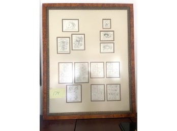 Four Framed Diagrams of the Human Cortex