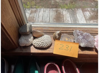 Group of Crystal and Shells