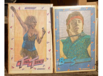Bruce Springsteen and Tina Turner Daily News Illustrations.