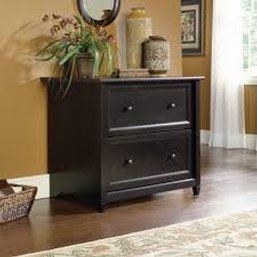 Sauder Edge Water 2-Drawer Lateral File Cabinet In Estate Black
