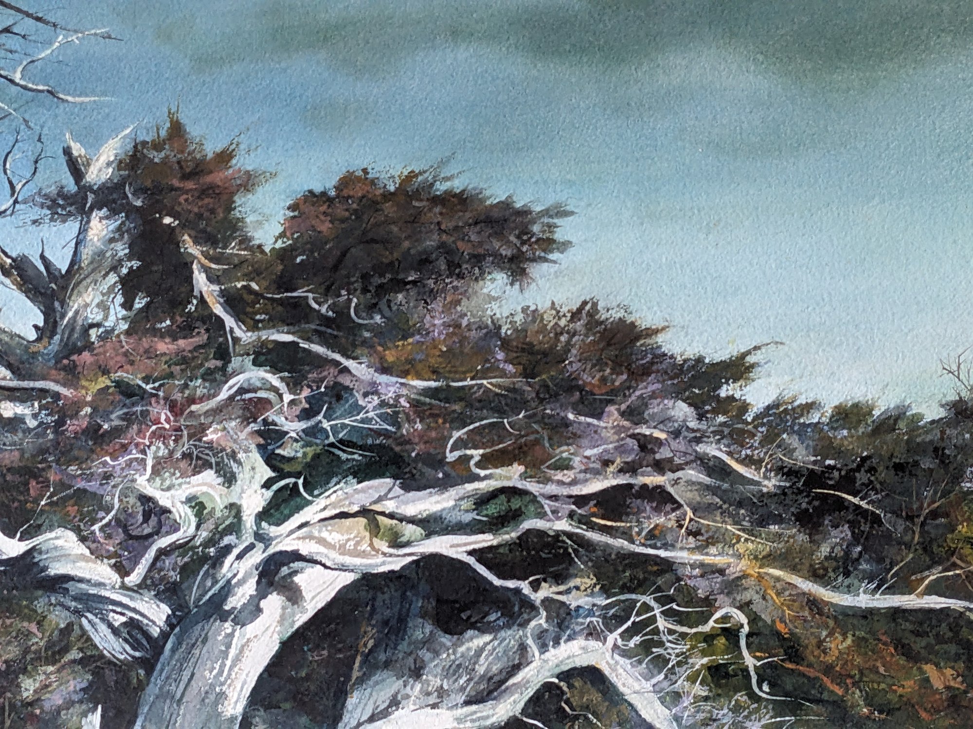 Hans Axel Walleen American Watercolor Society Member Watercolor