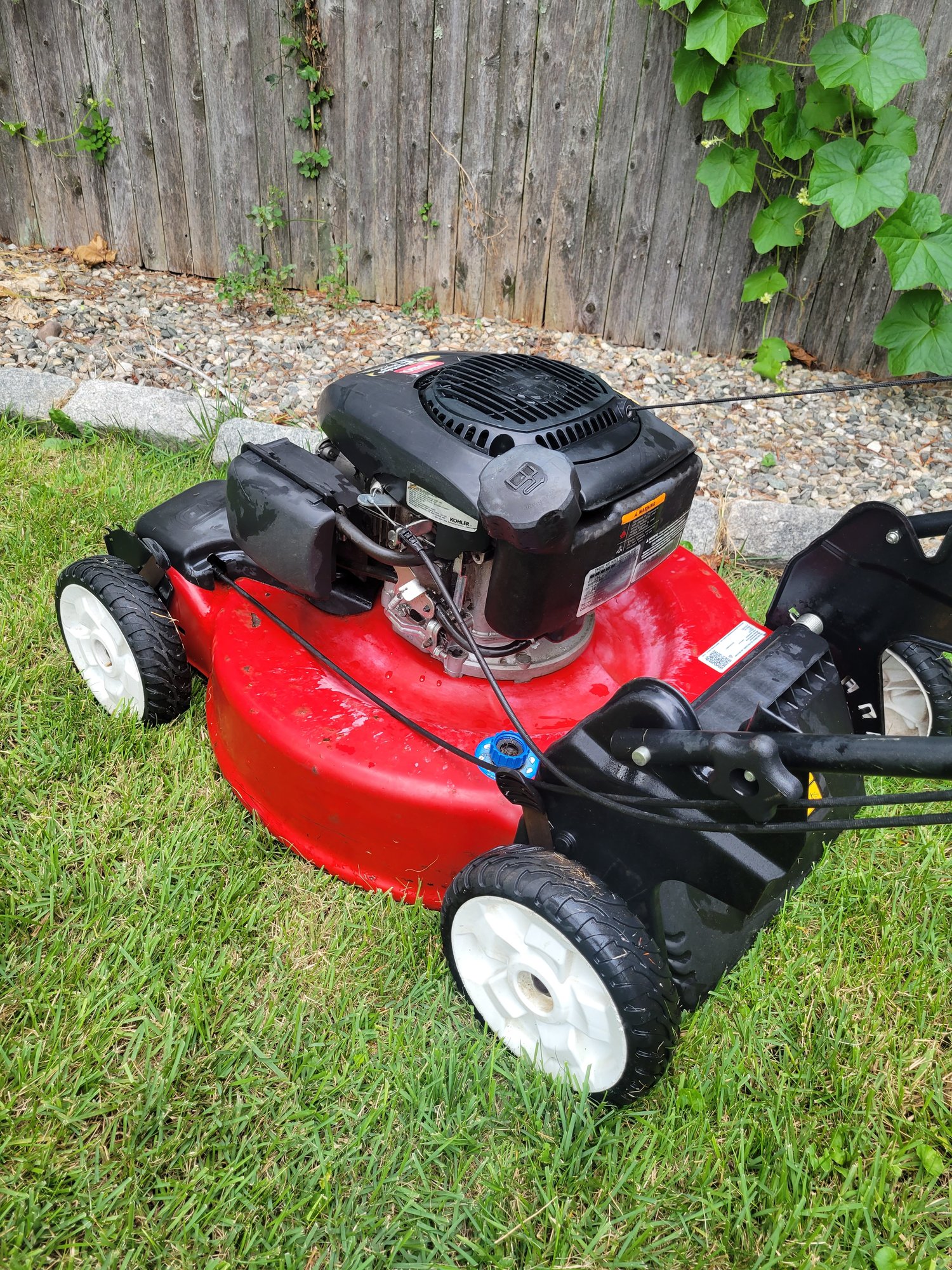 Toro 22