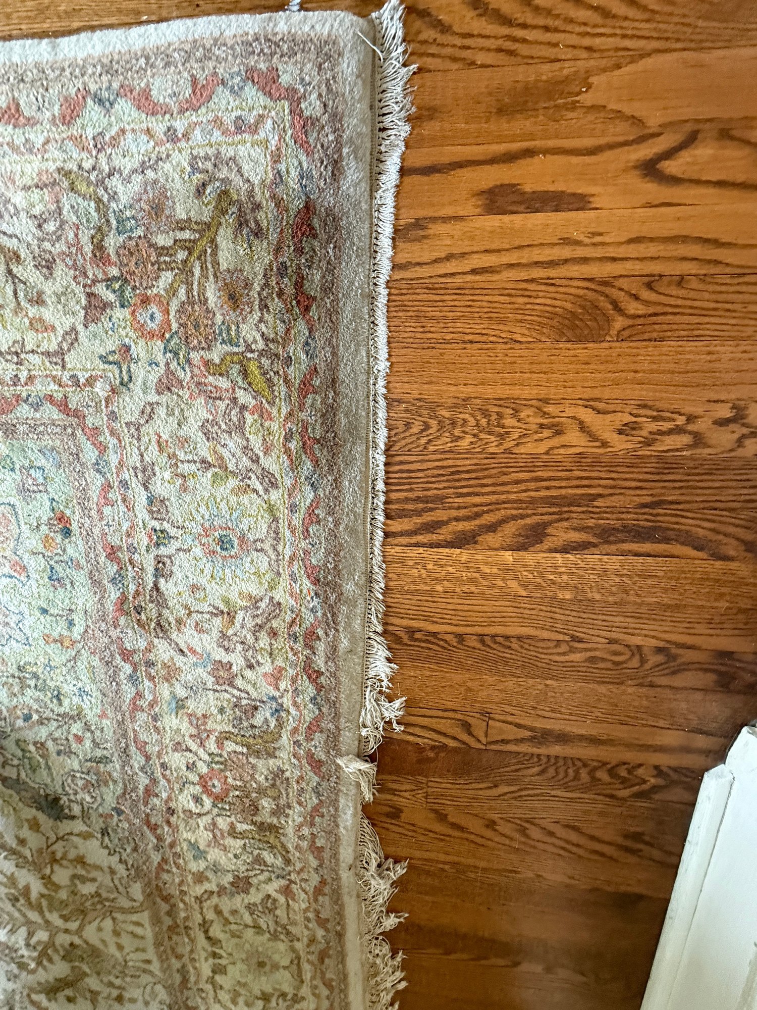 Beautiful Pande Cameron Royal Jahan Hand-Knotted Wool Area Rug 8x10 ...