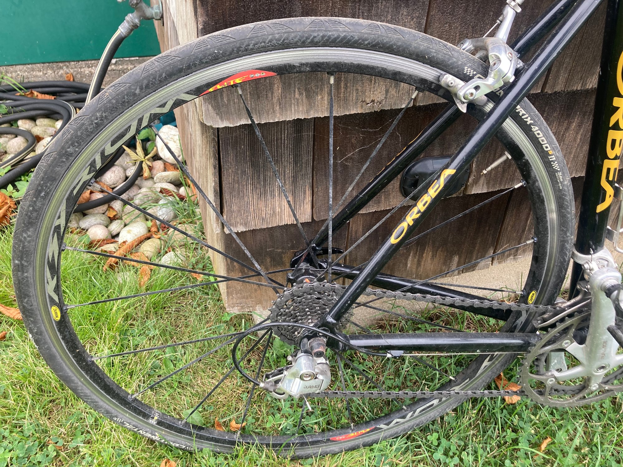 Vintage 2003 ORBEA Aluminum Road Bike With Custom Paint Job