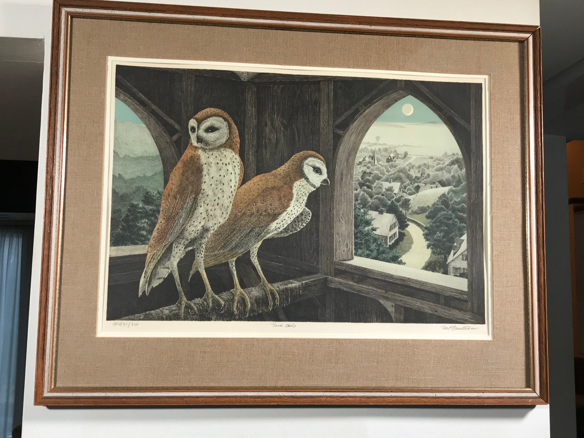 59. The magnificent barn owl hand-painte