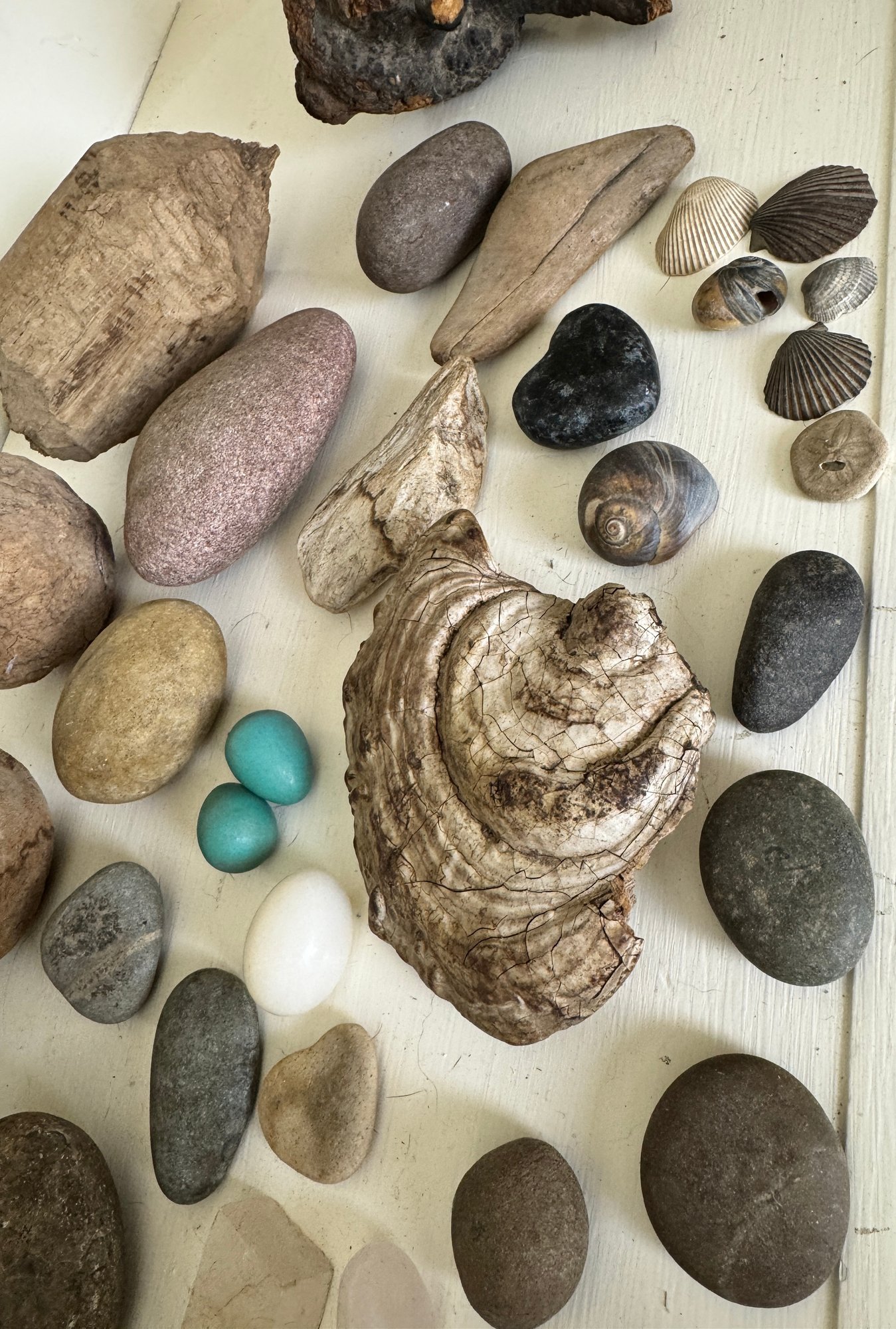 Basic Wood Shell Mixed Lot Of Stones, Wood, Shells And More #2245674 | Auctionninja.com