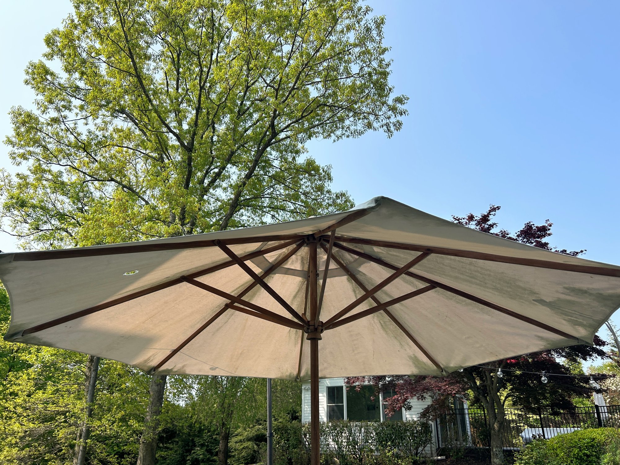 clemson patio umbrella Business & Pleasure Co. The Kids colored panels and a Color:slate 2010 Bianchi Mono-Q Veloce